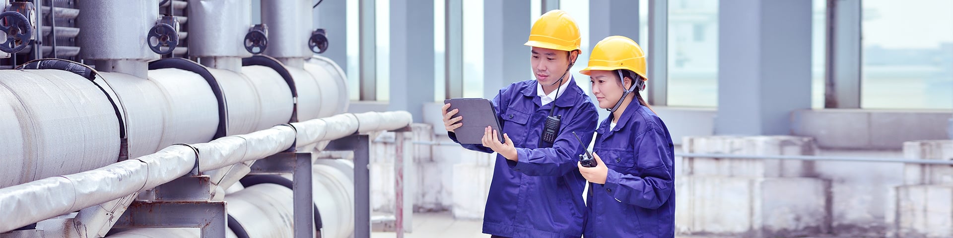 W001-Intelligence-11-20