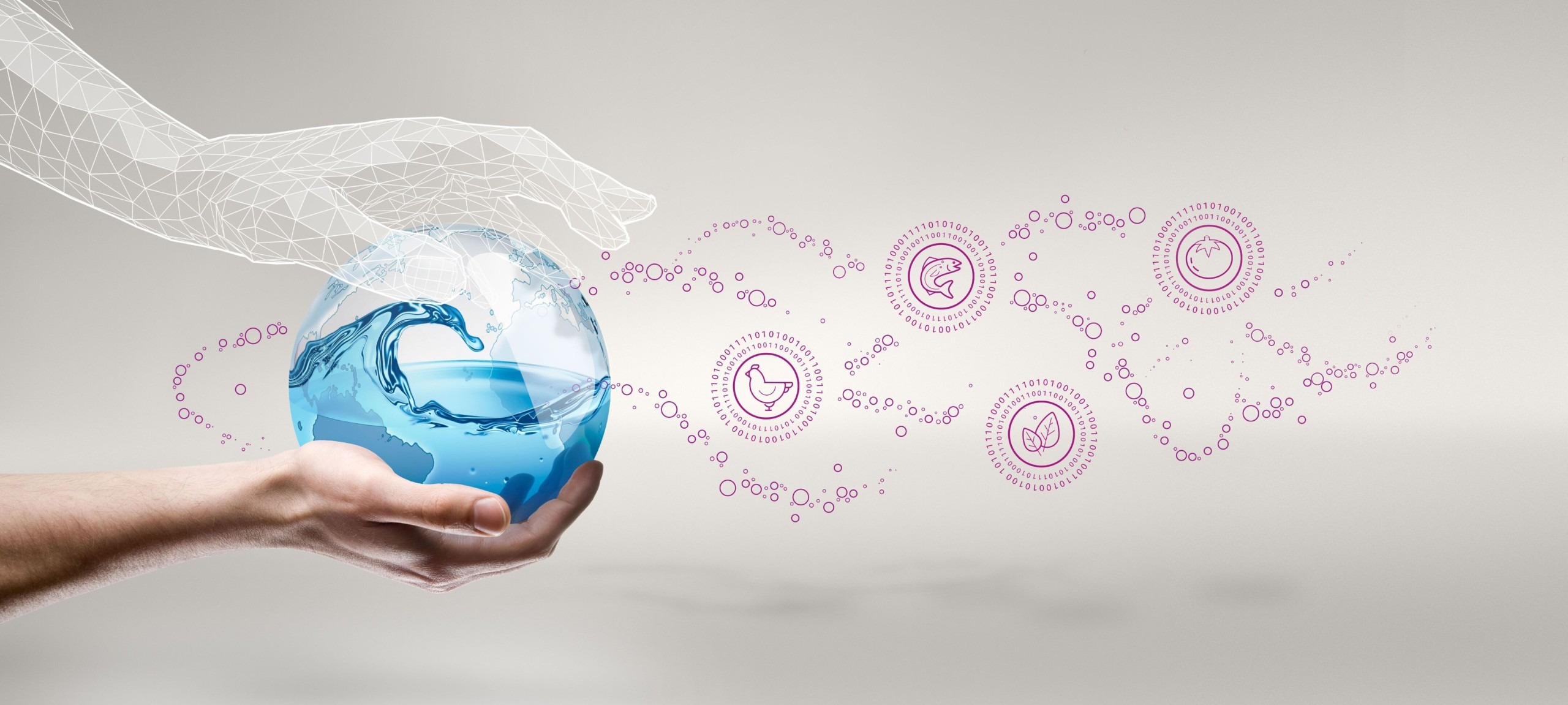 projektbild-auszug4-3