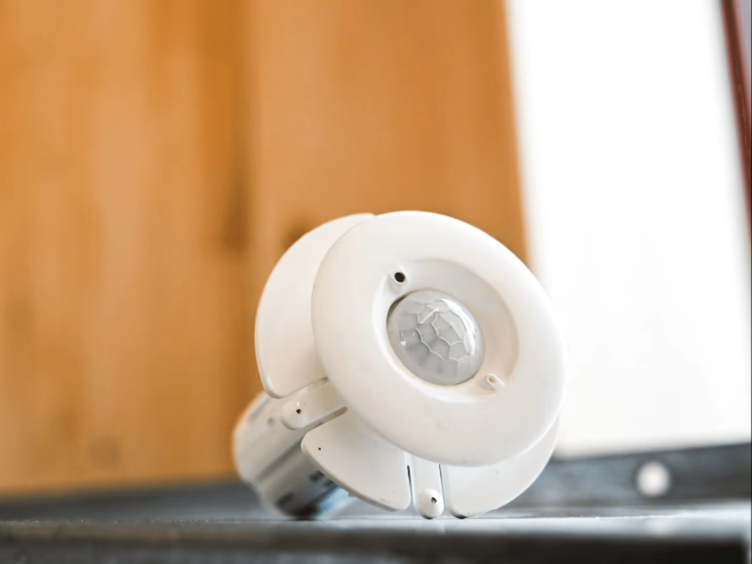 sensor-woodcopy3-cropped