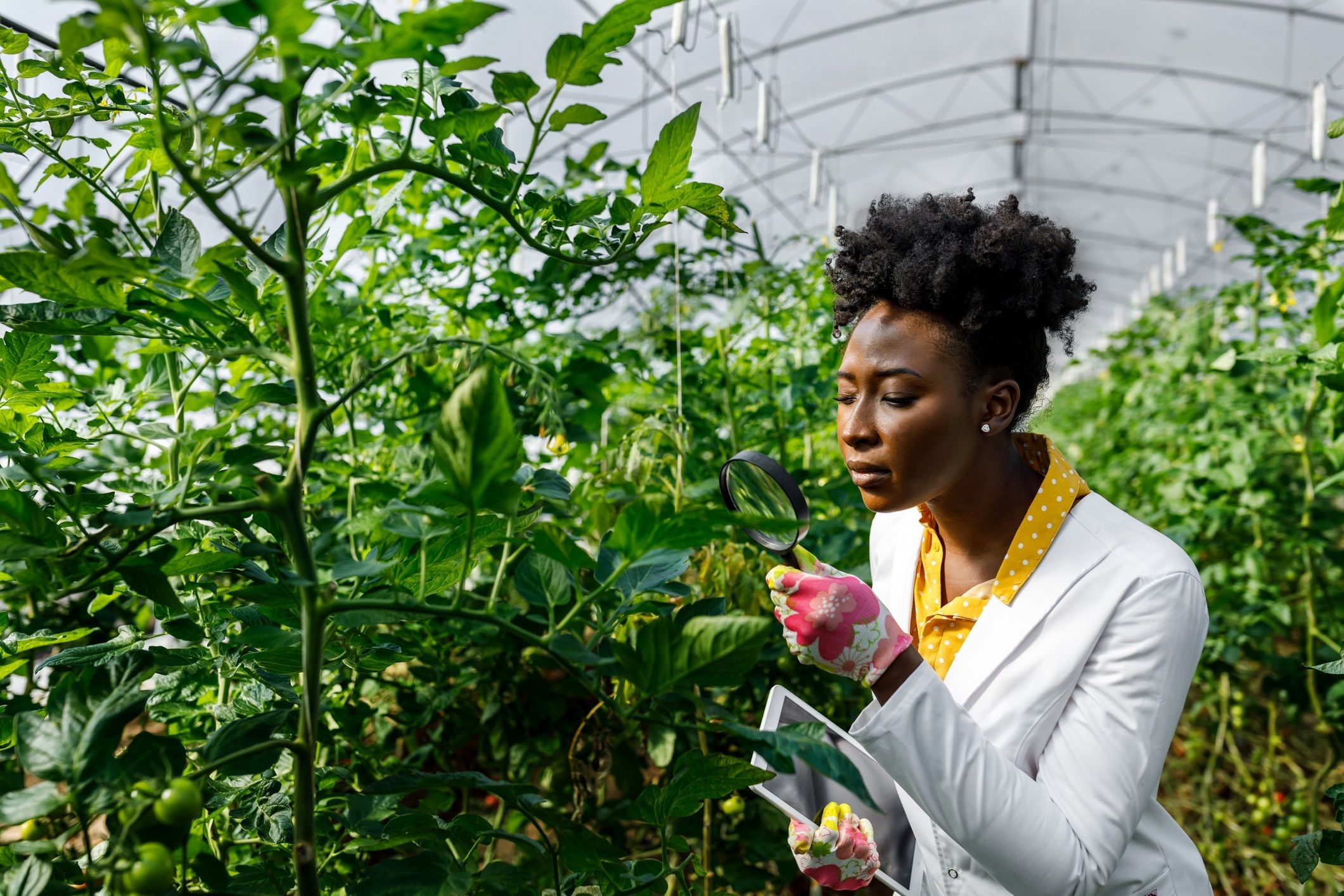 sustainability-check-up-gettyimages-1500251269-flipped