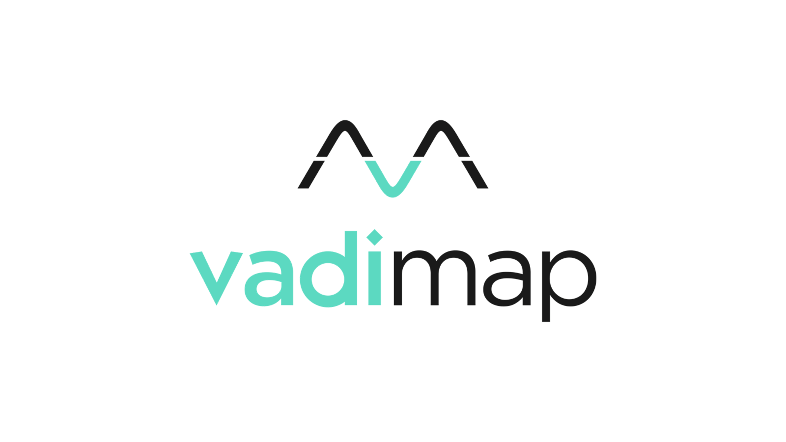vadimap-logo